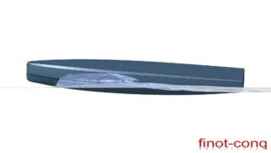 Pogo 50 2
